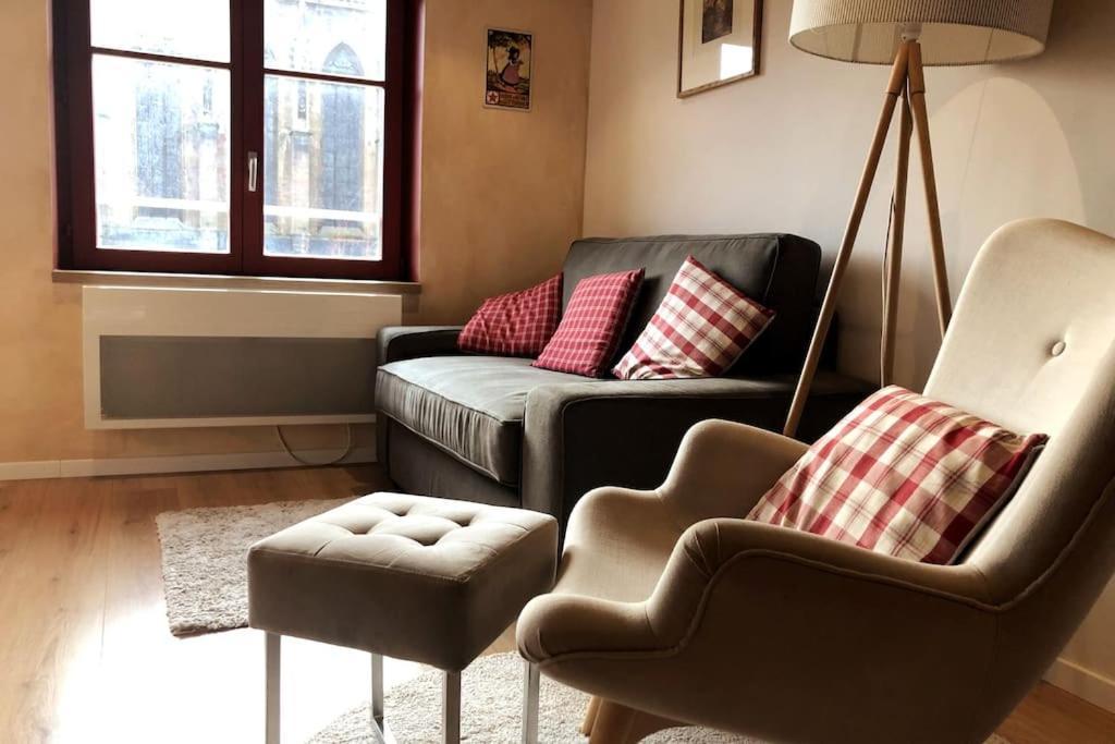 B'M Yerri - Appartement 4 Pers - Vue Cathedrale Colmar Dış mekan fotoğraf